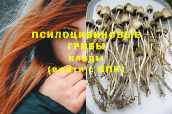 дмт Абаза