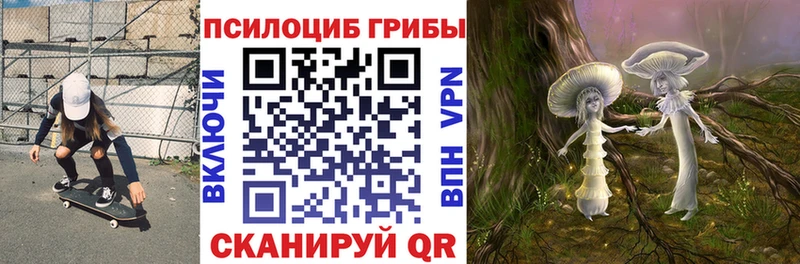 Галлюциногенные грибы Magic Shrooms где найти Устюжна